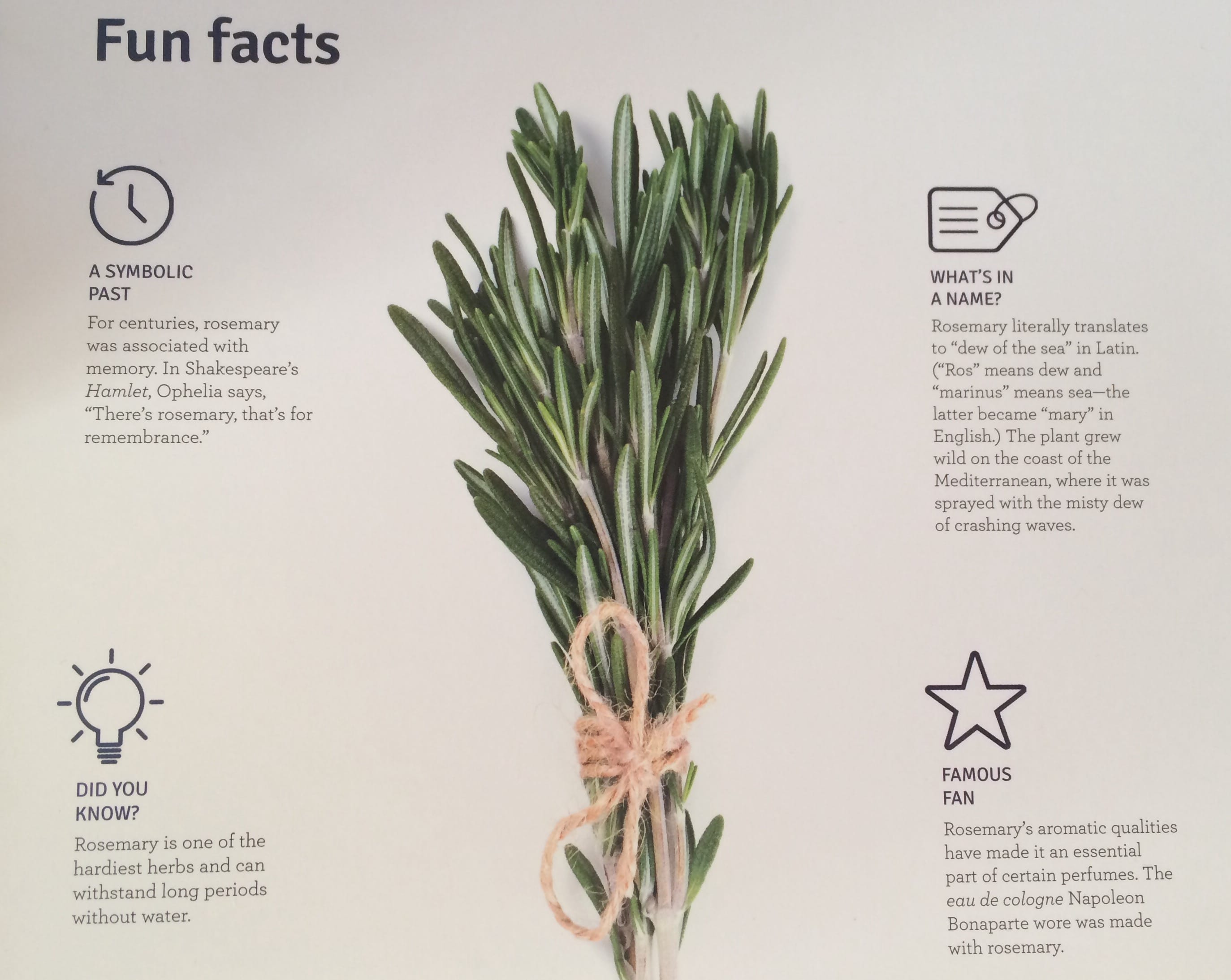 Blue Apron Fun Facts