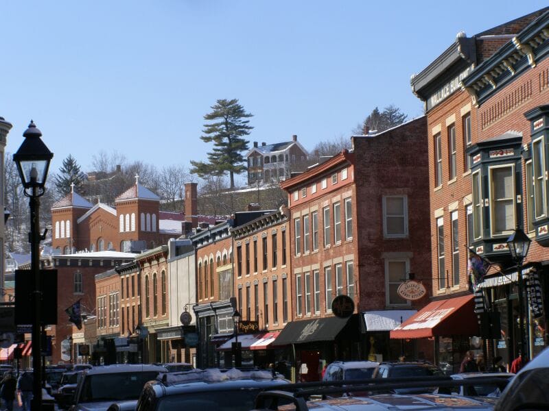 Main_Street_westview_Galena_Illinois_P2140173_House_w_Pine_Tree