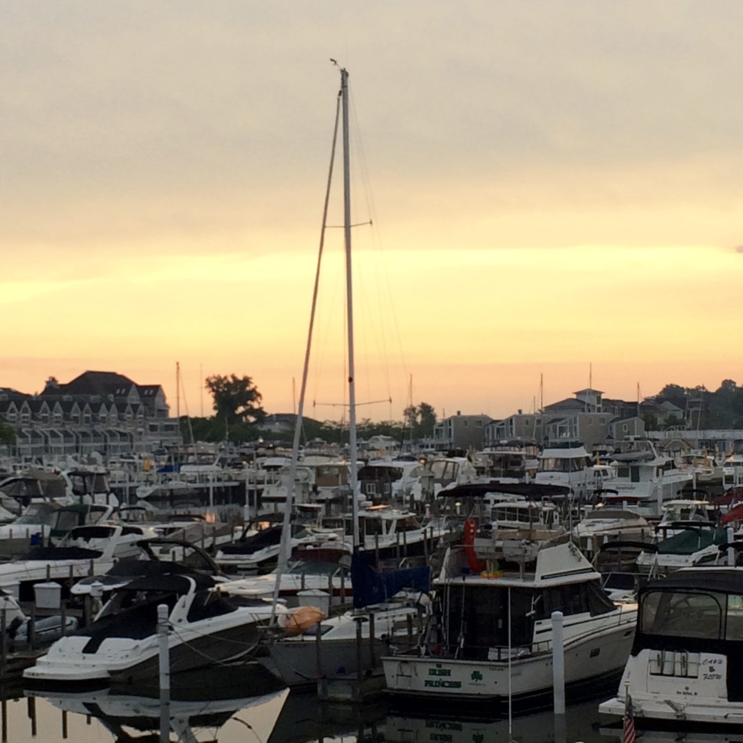 Marina Grand Resort New Buffalo