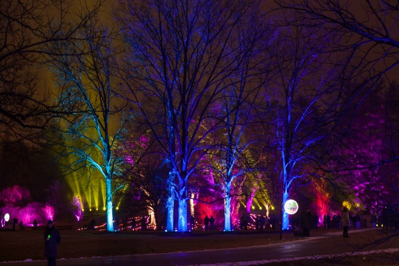 Morton Arboretum Illuminations 2014