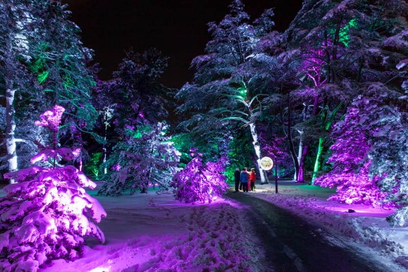 illumination-in-snow-2