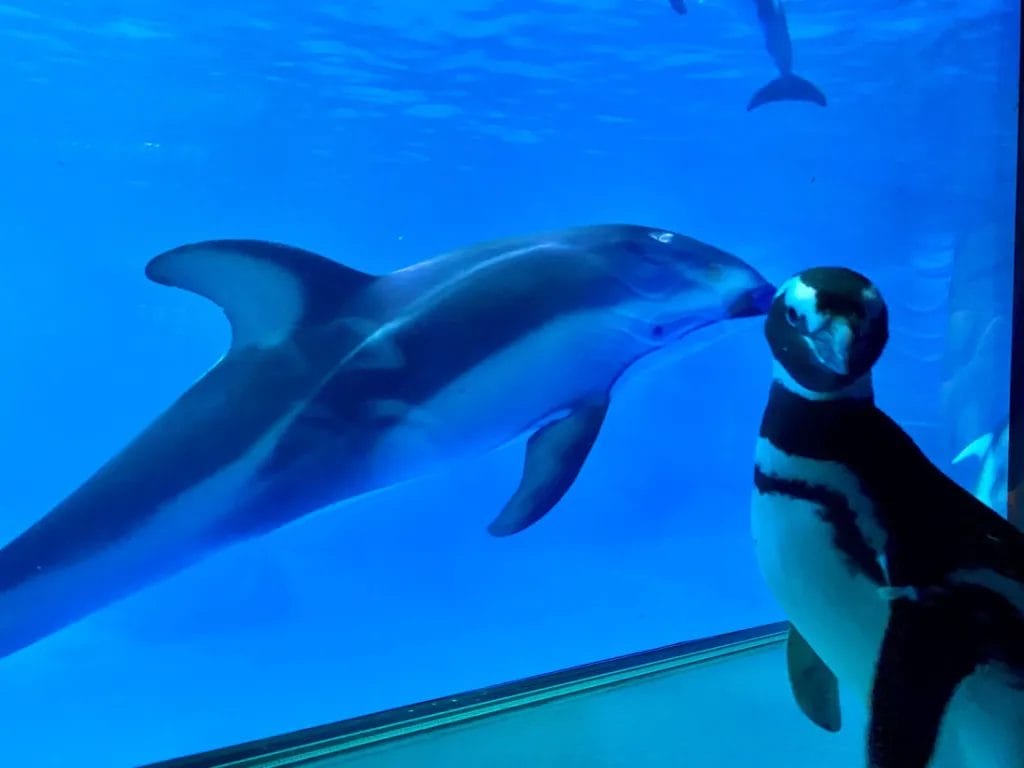 New socially-isolated fun activities with teens